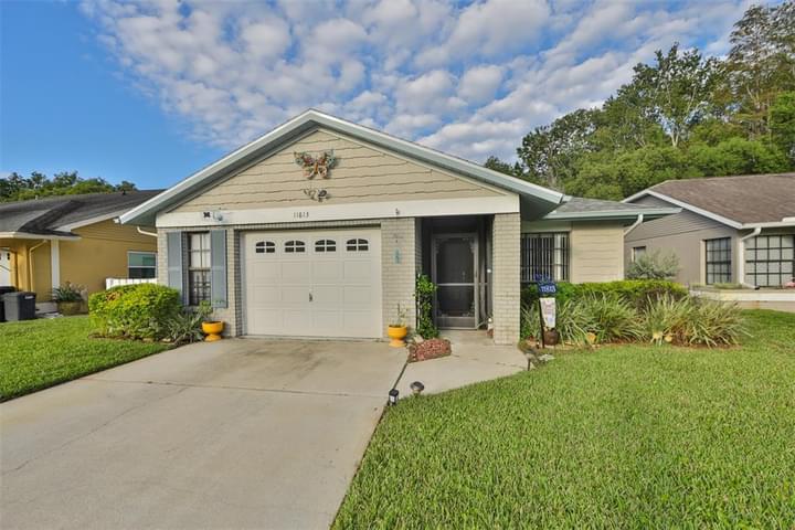 11813 Loblolly Pine Dr, New Port Richey, FL 34654 - MLS #T3407976 | BEX ...